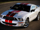 Full Stripe Kit Decal Sticker Graphic Ford Mustang GT 2005-2014 S-197