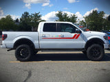 Decal Graphic Vinyl Ford F150 Series 2009-2017