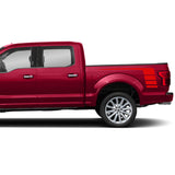 Decal hockey bed for Ford F150