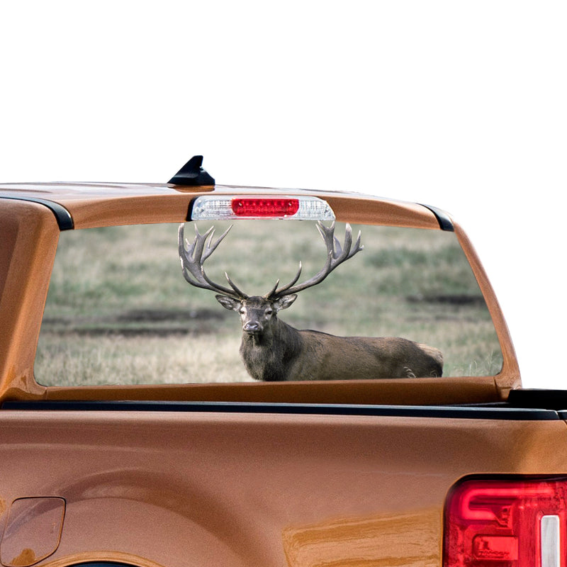 Wild Deer 2 Perforated for Ford Ranger decal 2010 - Present