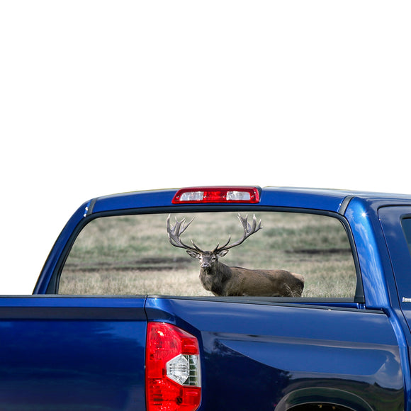 Wild Deer 1 Perforated for Toyota Tundra decal 2007 - Present