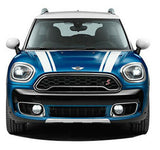 Full Stripes Decal Sticker Graphic Compatible with Mini Countryman 2010-Present